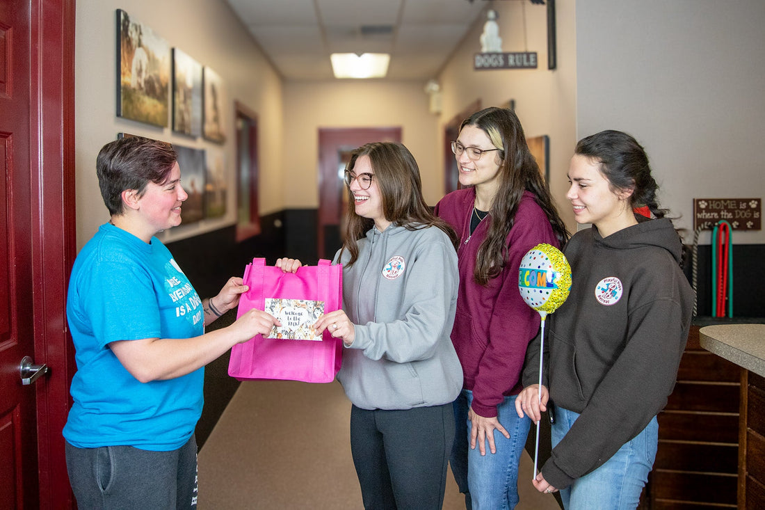 They Deserve More Than a Paycheck: Why Employee Appreciation Matters in the Pet Care Industry