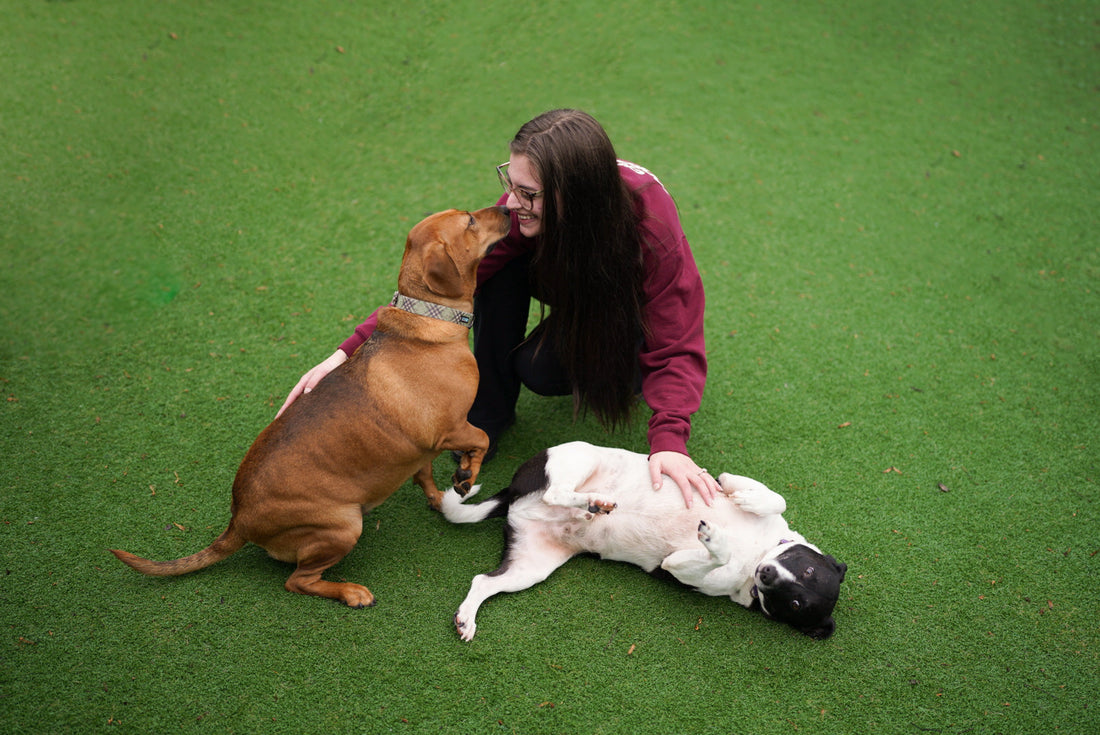 Burnout is Real—But So is the Power of a Thoughtful Card