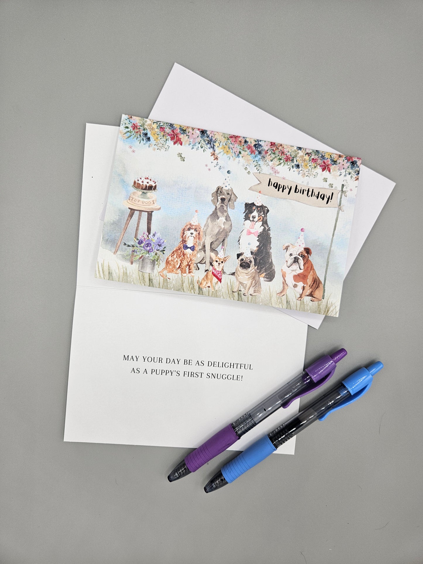 Furever Festive Birthday Card Assortment