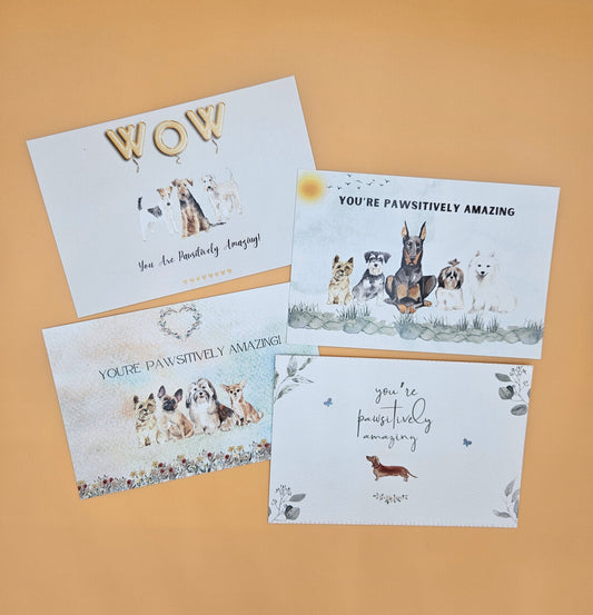 You’re Pawsitively Amazing Card Assortment