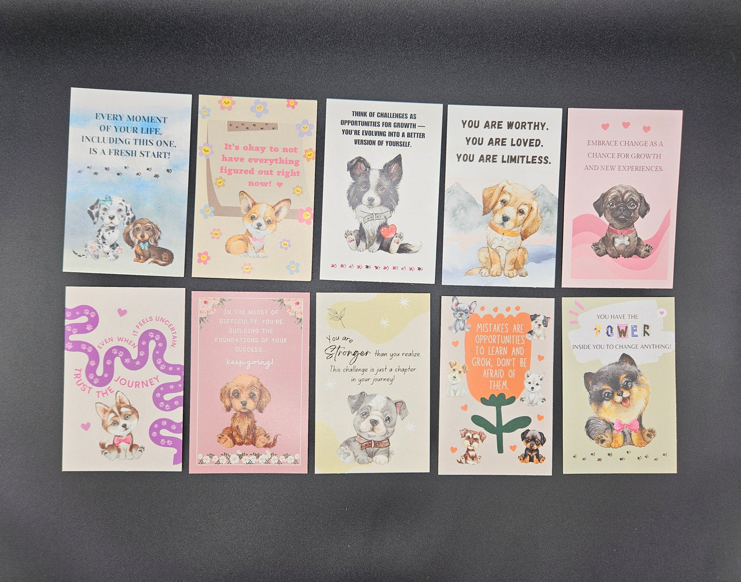 Pawsitive Thoughts Card Assortment