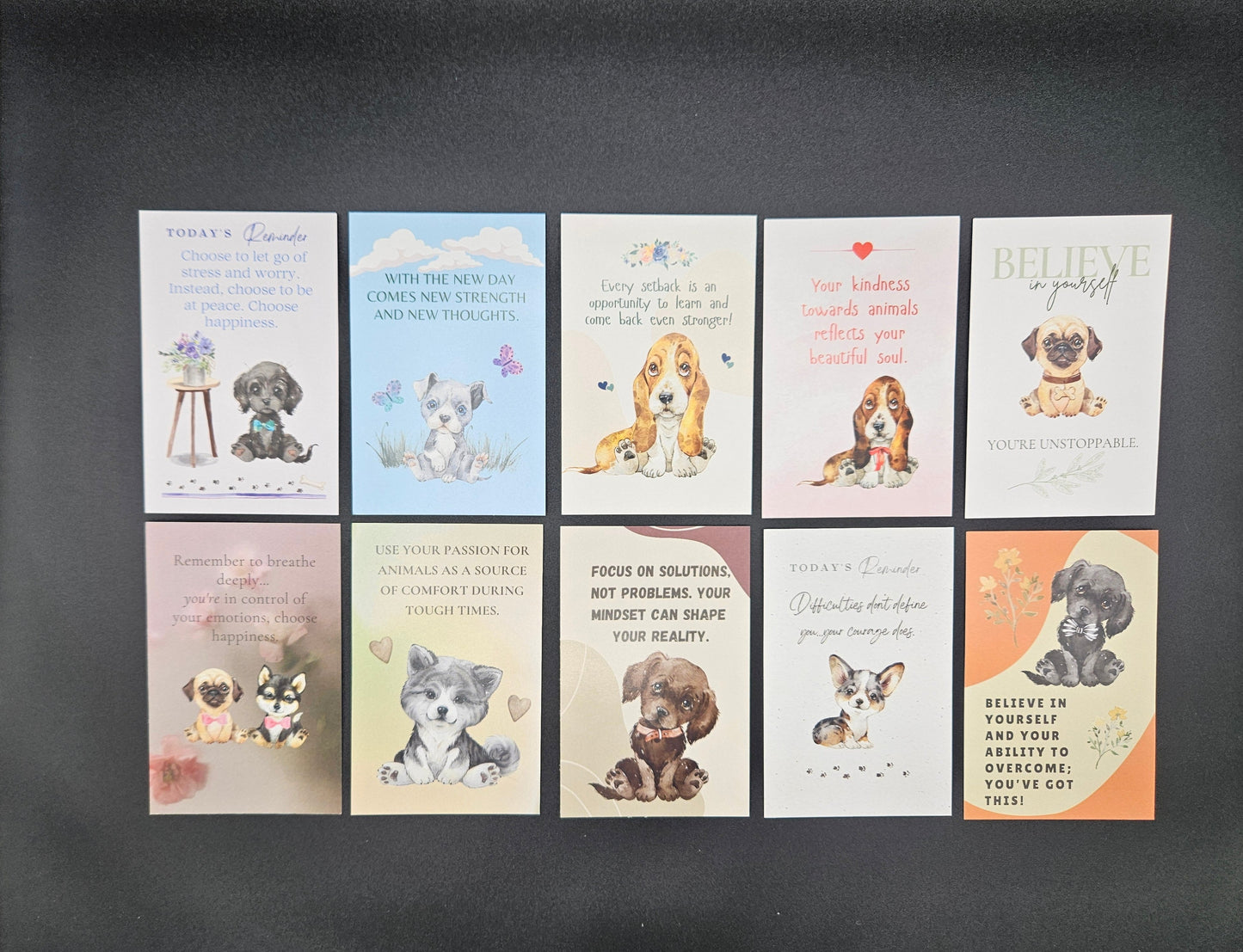 Pawsitive Thoughts Card Assortment