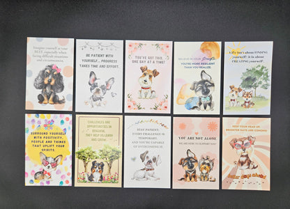 Pawsitive Thoughts Card Assortment